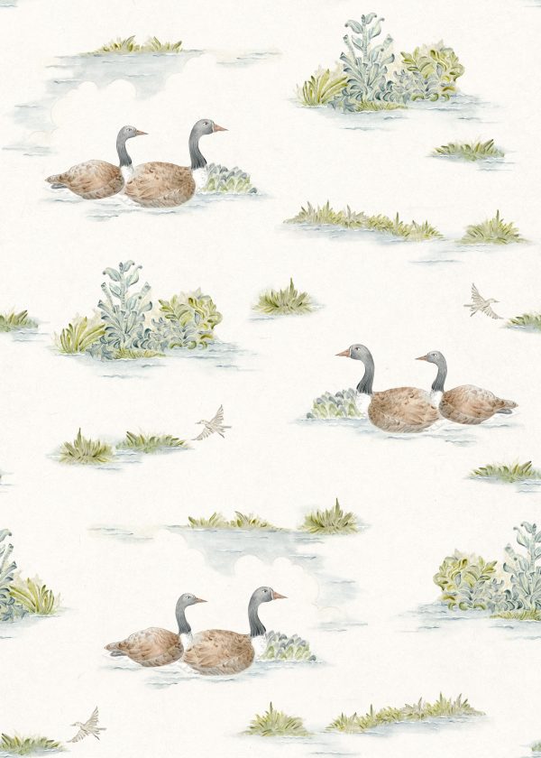 Ducks White British