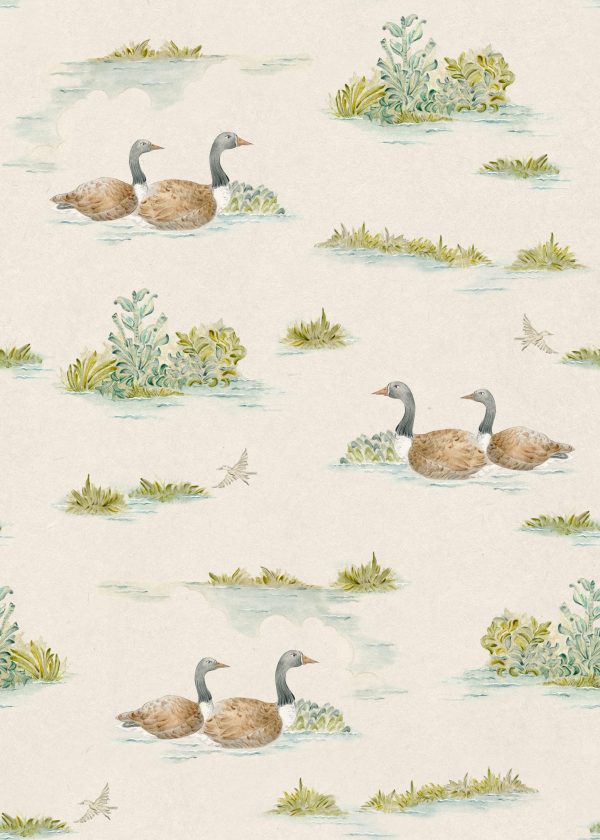 Ducks Natural British