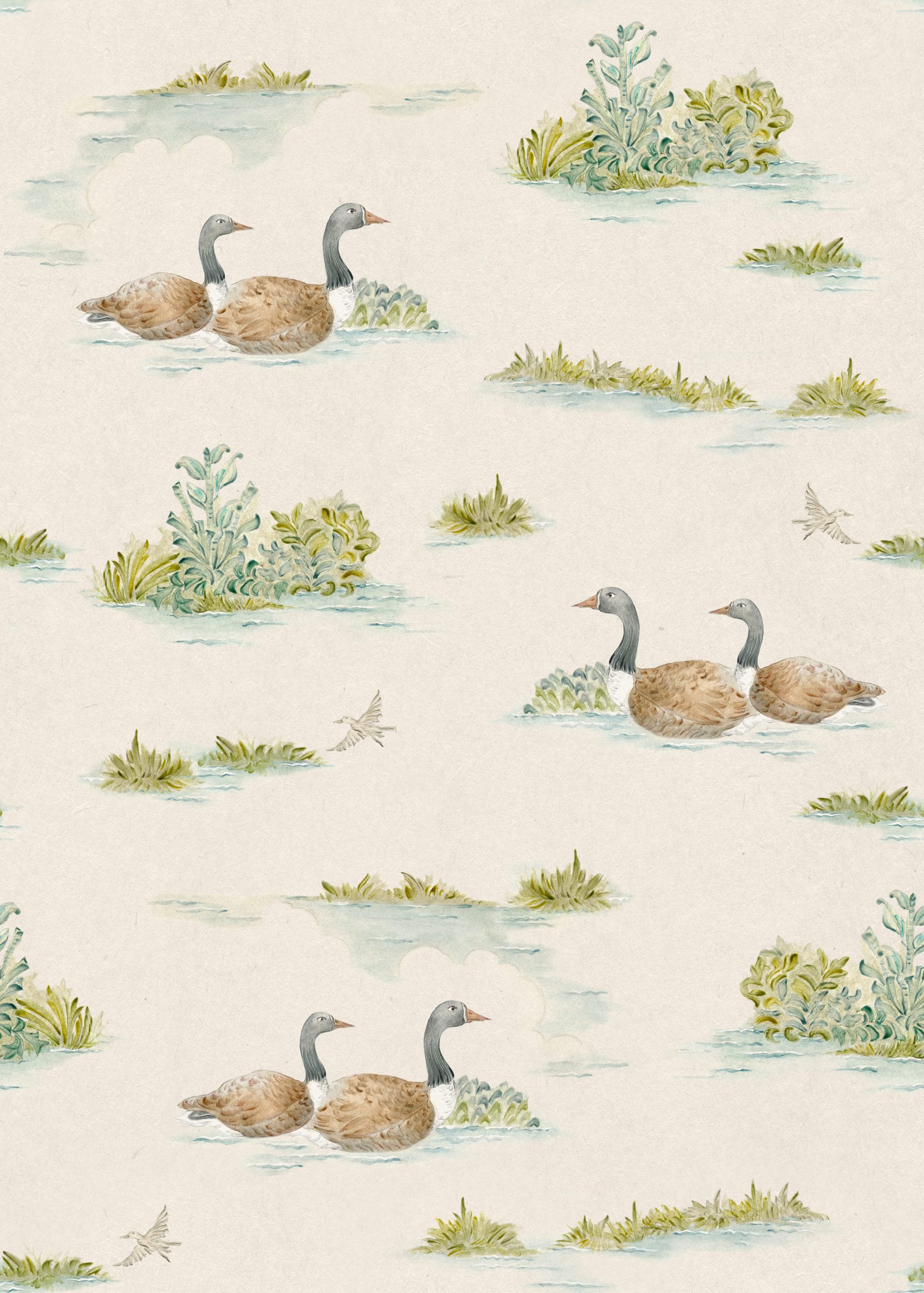 Ducks Natural British
